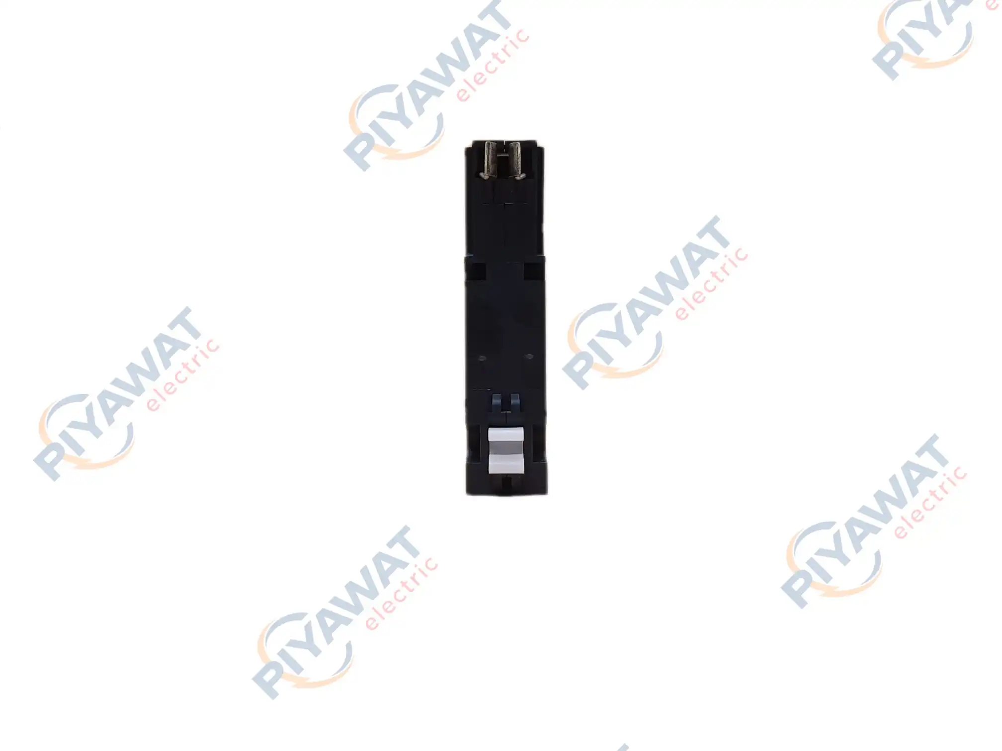 เซอร์กิตเบรกเกอร์ 1P 50A 6kA Philips LeafStyle 4